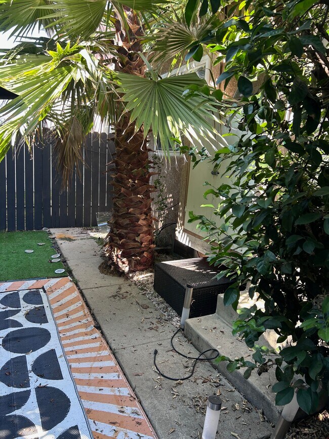 back yard - 5549 Costello Ave