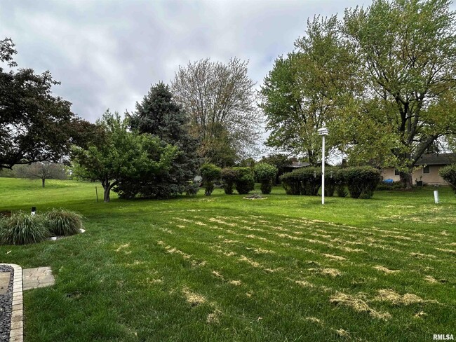 Building Photo - 3117 St Andrews Dr
