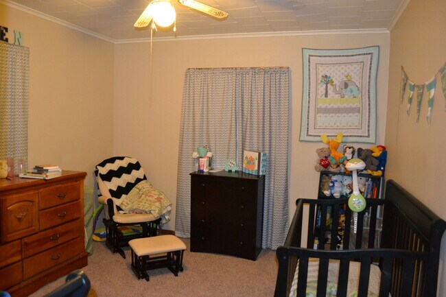 Building Photo - Court St Duplex