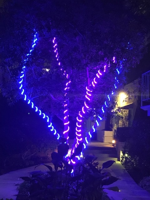 Building Photo - 17424 Burbank Blvd