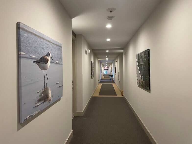 Admiring the best icons of Charleston on the way to Unit 114 - 145 Pier View St