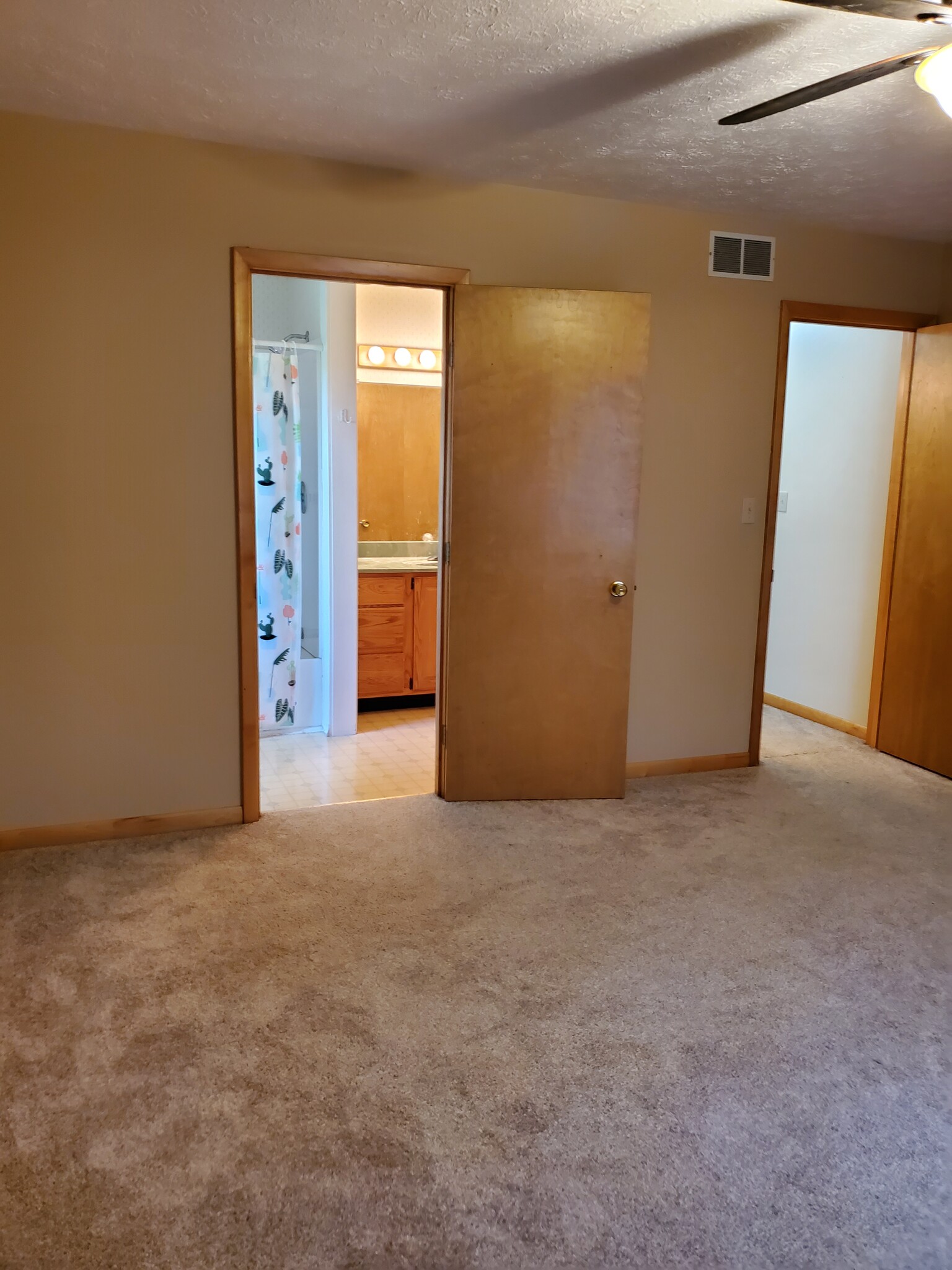 Master bedroom into bathroom - 1143 W Gore Rd