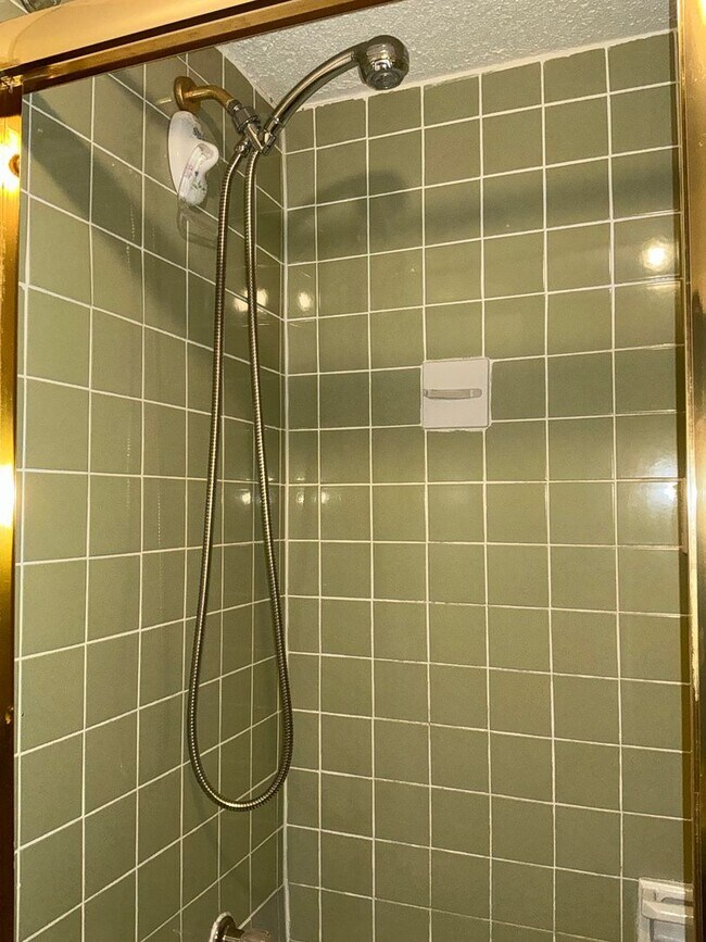 Building Photo - Beautiful 1 BR 1 BA condo at The Forum