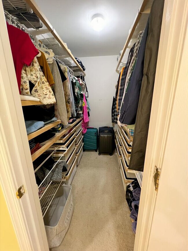 Building Photo - 2456 Rolling Plains Dr