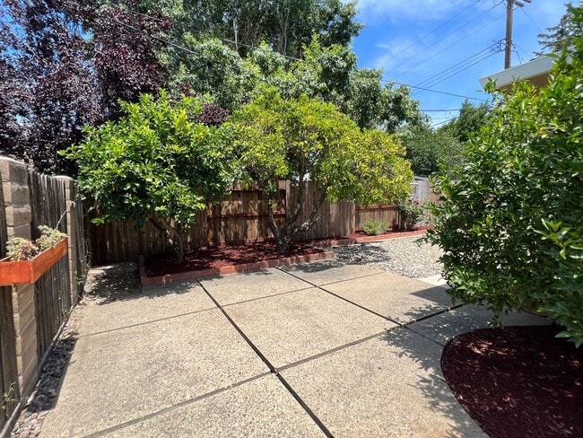 Building Photo - 913 Tara Pl