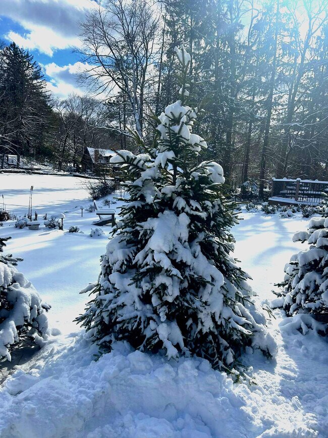 Building Photo - 2A Cherry Ln