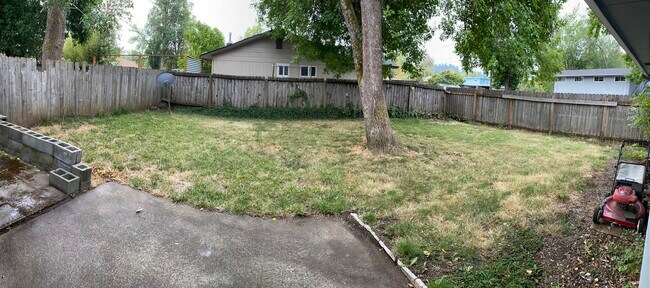 Back yard - 1990 W 17th Ave