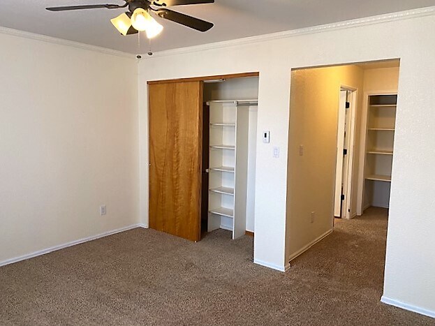 Large Master Bedroom - 11 Rhone Ct