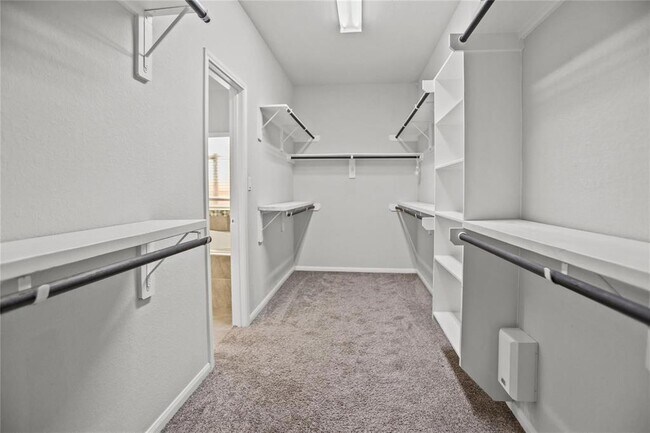 Building Photo - 24115 Golden Fallow Dr