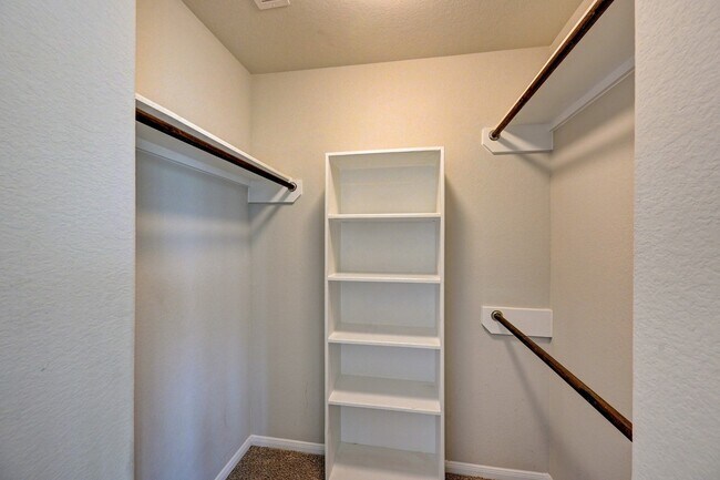 Building Photo - 3303 Owl Hollow Dr
