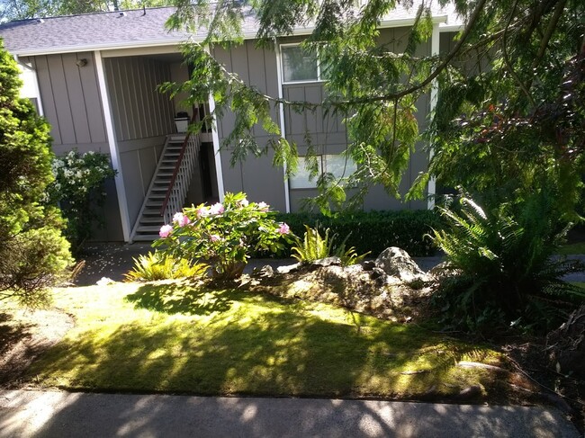 Looking from your covered porch - 3206 Pine Rd NE