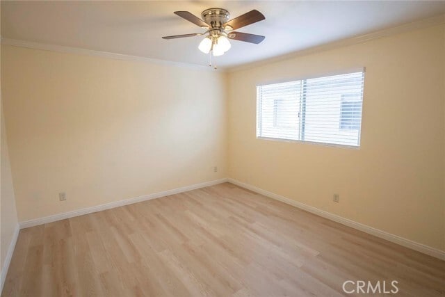 Building Photo - 1533 Plaza del Amo