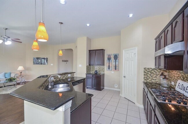 Building Photo - 4107 Elk Bluff Ln