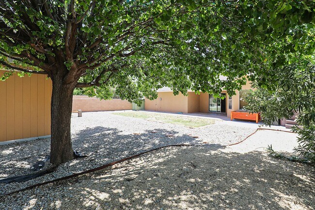 Building Photo - 351 Cielo Grande Ct