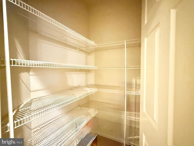 Building Photo - 552 Winding Rose Dr