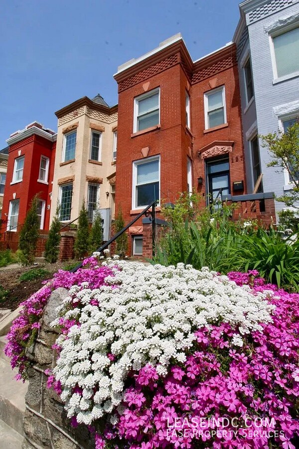 Building Photo - 127 Adams St NW