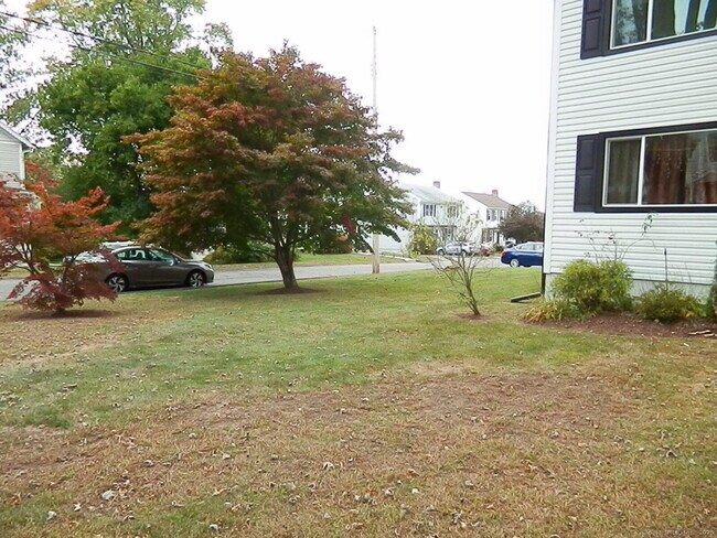 Building Photo - 49 Fort Hill Ave