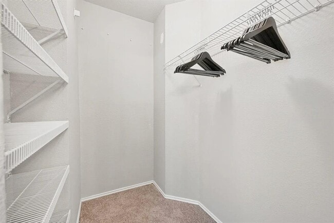 Building Photo - 11306 Avering Ln