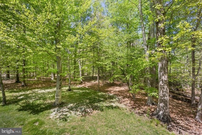 Building Photo - 4210 Greenspire Ln