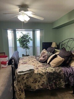 Building Photo - 4633 Wild Indigo St