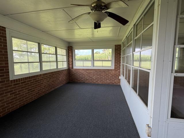Building Photo - 2020 Muse Field Rd