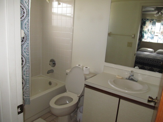 Master Bath - 203 Villaway