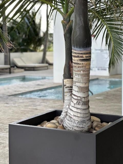 Building Photo - 1040 Biscayne Blvd