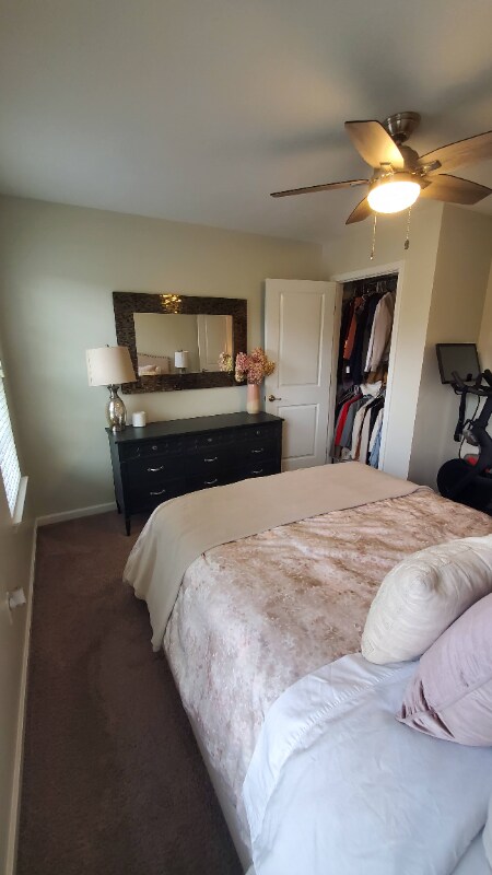 Building Photo - 3023 Grey Fox Cir