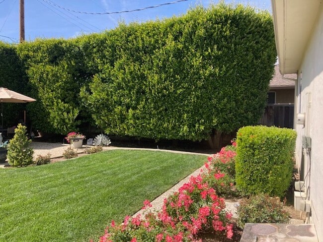 Building Photo - Rare Willow Glen Gem: Spacious 4BR Family Compound on a 9,000+ Sq. Ft. Lot