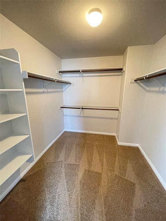 Building Photo - 221 Sambar Dr