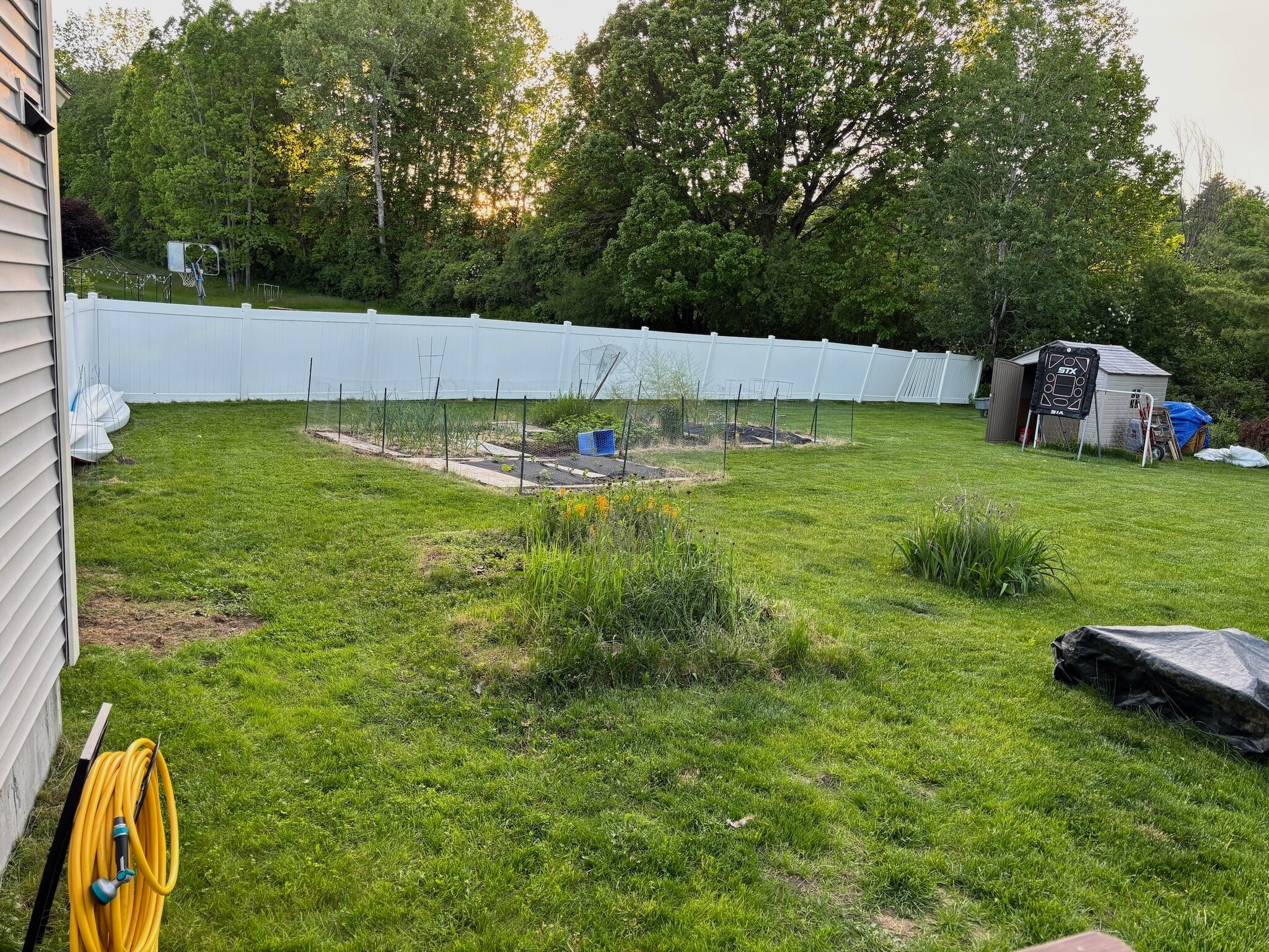 Yard - 49 Bower St