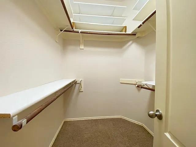 Building Photo - 2170 Rachel Ln