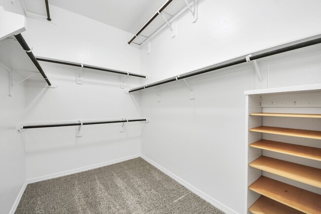 Building Photo - 9019 Emerald Cane Dr