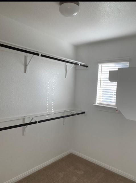 Building Photo - 13902 Osmarea Dr
