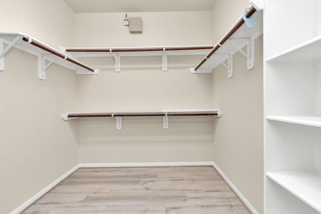 Building Photo - 3018 Shadowbrook Chase Ln