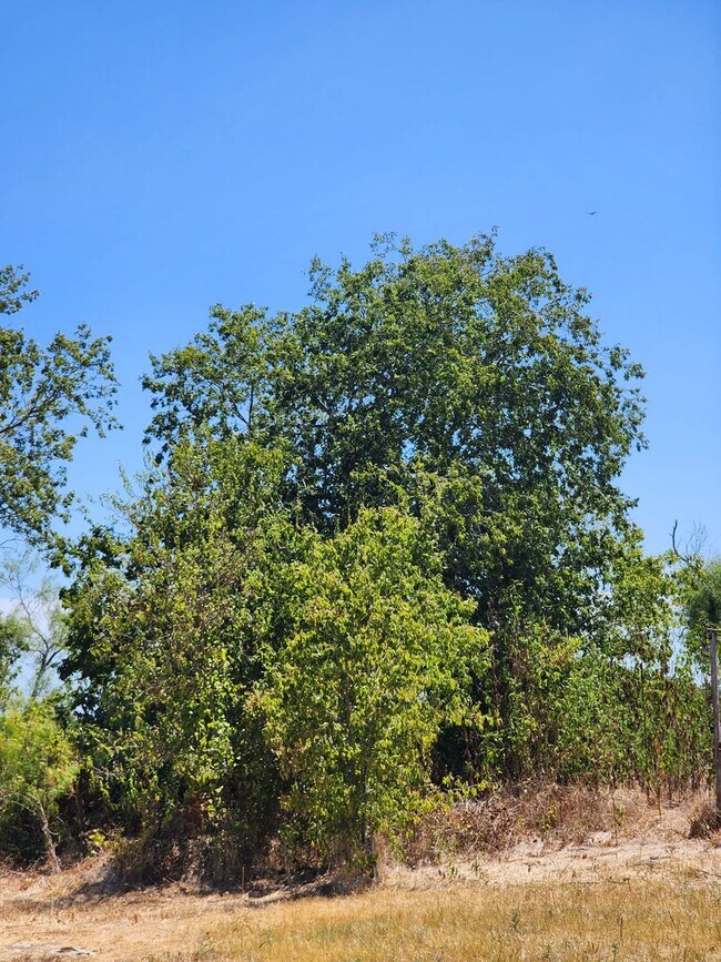 Building Photo - 18327 Blake Manor Rd