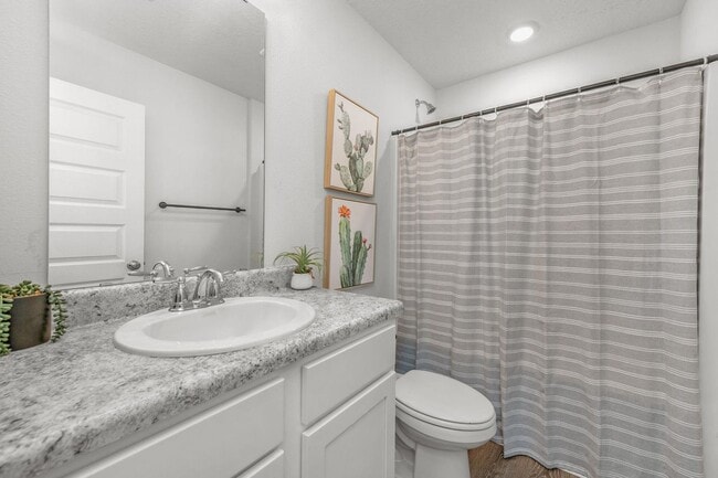 Building Photo - 6537 Torrey Pnes Trce