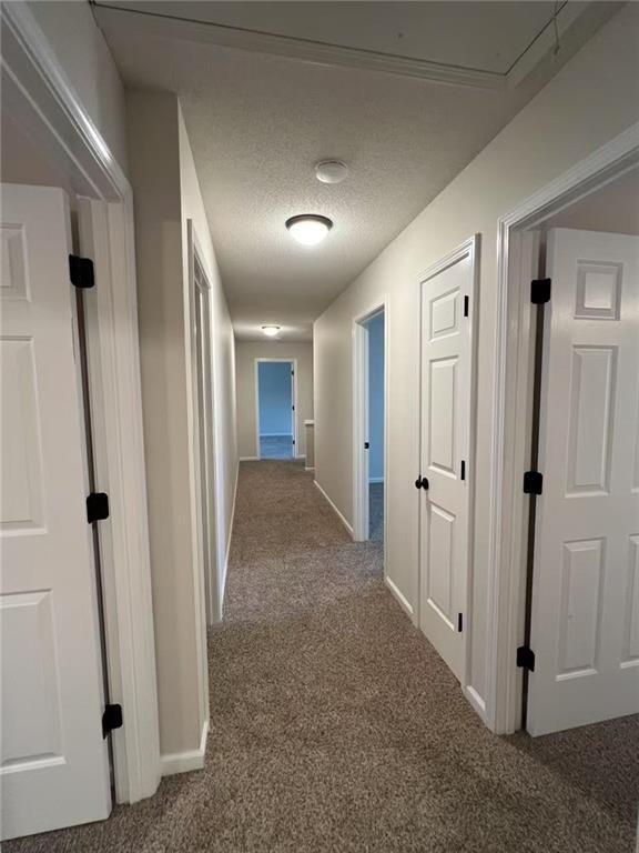 Building Photo - 230 Ascalon Ct