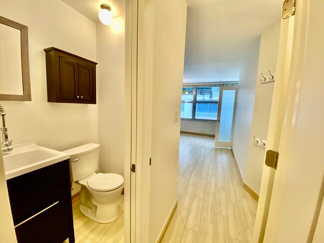 Hall Bath and additional hall closet - 1000 N Lake Shore Dr