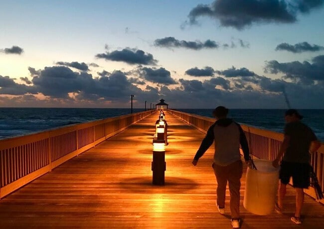 Building Photo - 367 S Federal Hwy