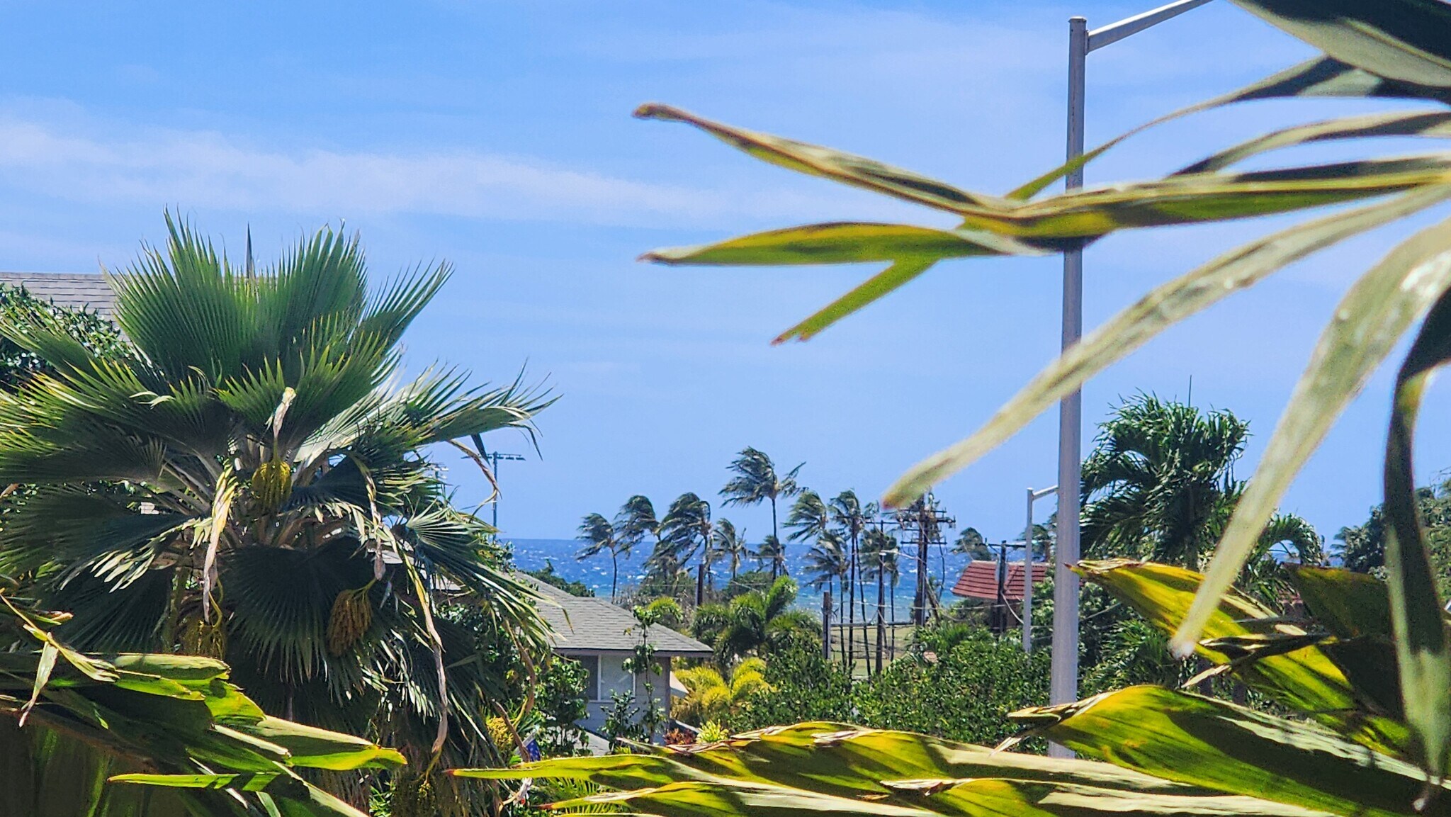 view from deck - 1874 Kaahele Pl