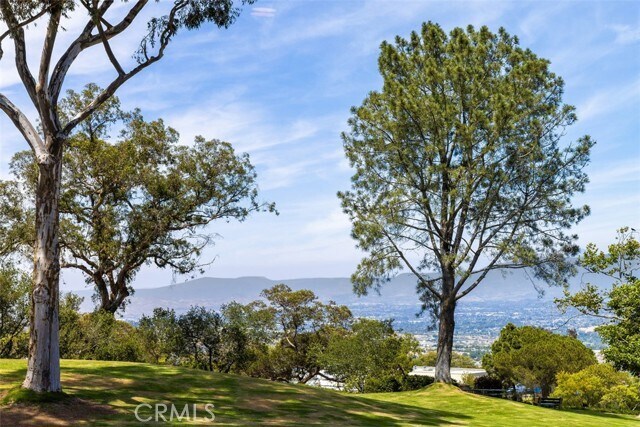 Building Photo - 21552 Treetop Ln