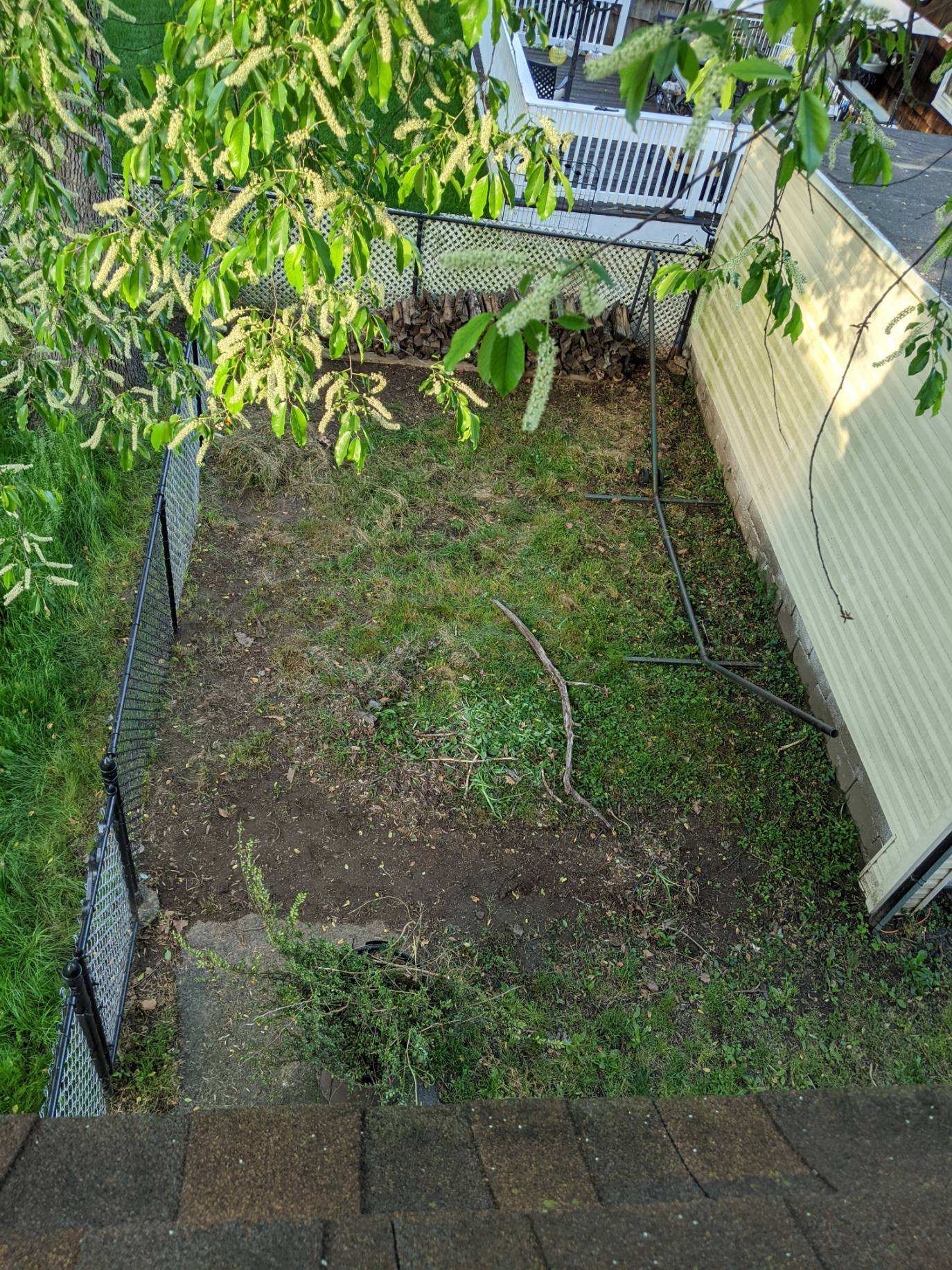 Private backyard with garage - 55 Donaldson Ave