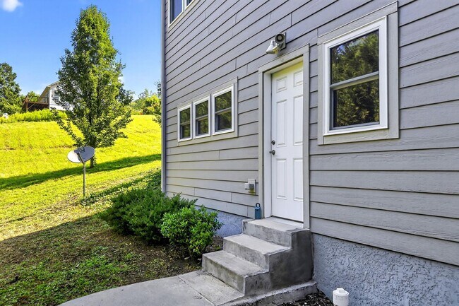 Building Photo - Lower Level Basement Apartment- Black Mountain