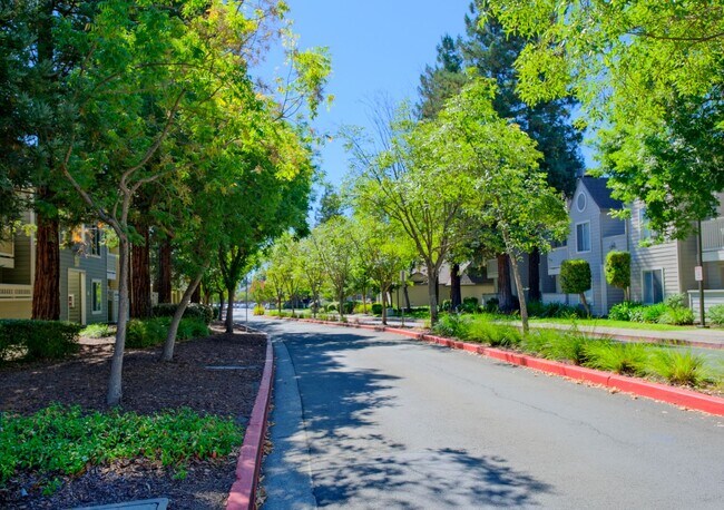 Building Photo - Fabulous 2 bedroom condo for rent in San R...