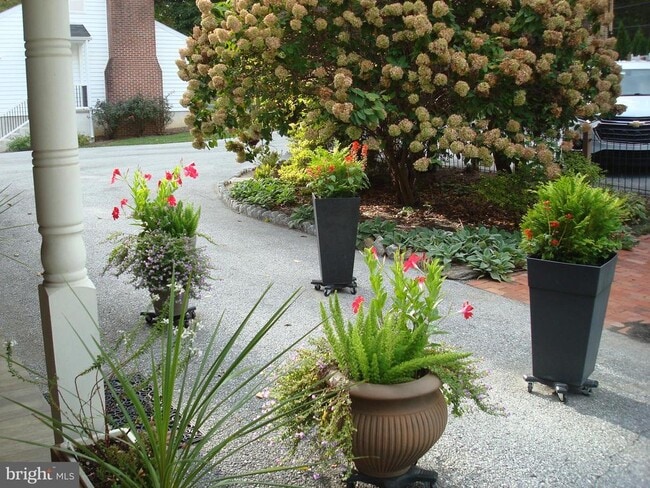 Building Photo - 514 Spring Grove Ln