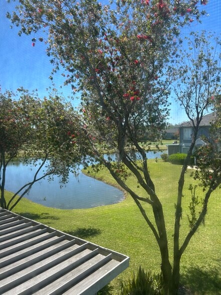 Building Photo - 18138 Paradise Point Dr