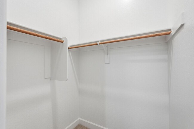 Building Photo - 2942 Manzanilla Ave