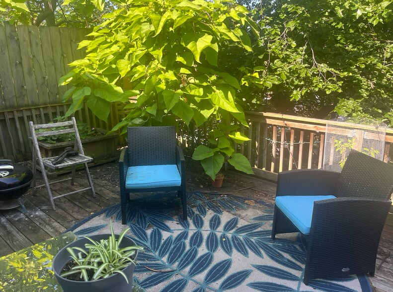 Roof Deck - 3210 17th St NW