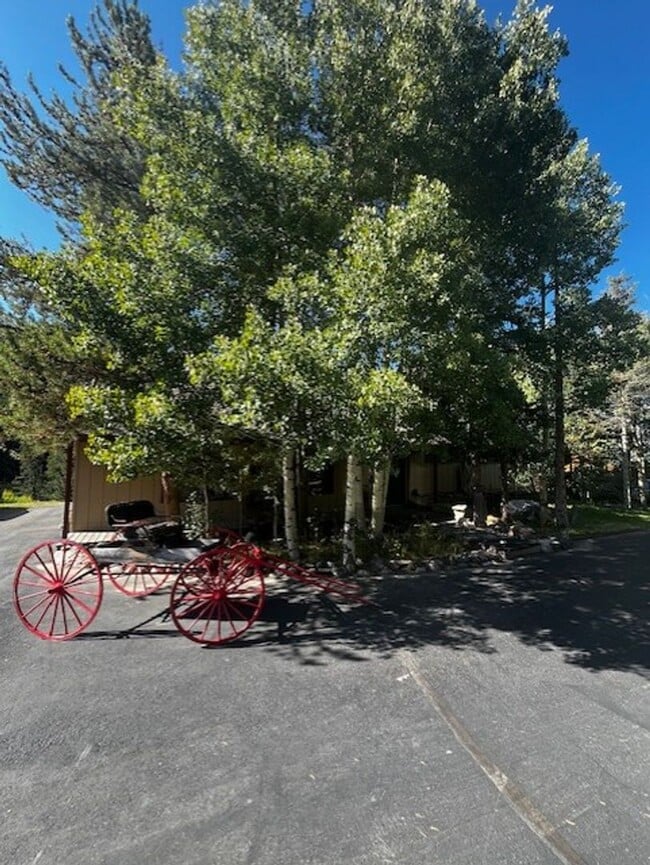 Building Photo - 1334 Straight Creek Dr